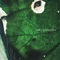 Photosynthesis - AWB lyrics