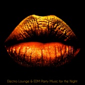 Electro Lounge & EDM Party Music for the Night – Sexy Dance Songs for Hot Party in Town & Adult Vacations artwork