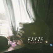 Ellis - What a Mess