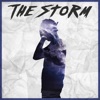 The Storm - Single