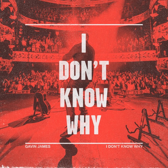 Cover artwork for I Don't Know Why (Vertue Remix)
