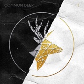 Common Deer - Wait!