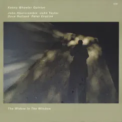 The Widow In the Window by Kenny Wheeler album reviews, ratings, credits