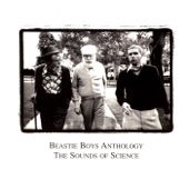 Beastie Boys Anthology - The Sounds of Science artwork