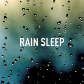 Rain Sleep artwork