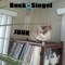 Recycled Junk - Buck-Siegel lyrics