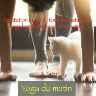 Yoga Oiseau Epaules Youtube