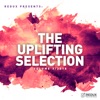 Redux Presents : The Uplifting Selection, Vol. 3: 2018, 2018