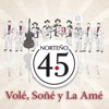 Volé, Soñé Y La Amé - Single