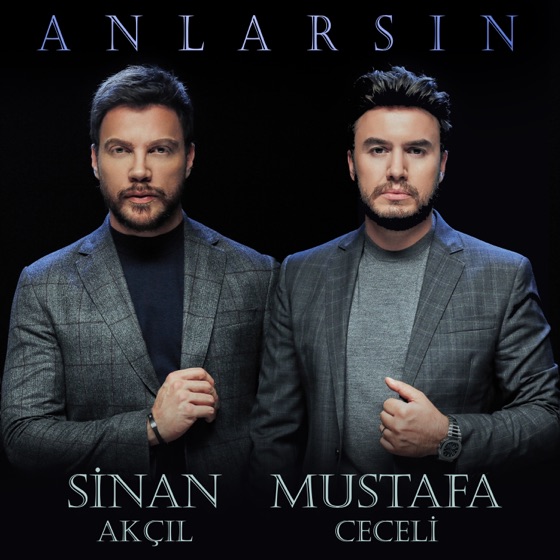 Cover artwork for Anlarsın