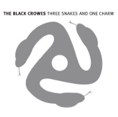 Three Snakes and One Charm artwork