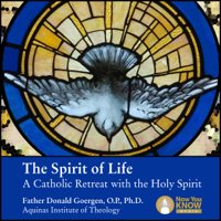 Fr. Donald Goergen OP PhD - The Spirit of Life: A Catholic Retreat with the Holy Spirit artwork