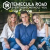 Everything Without You - Single