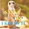 Saxxy and I Know It - Momo Ward lyrics