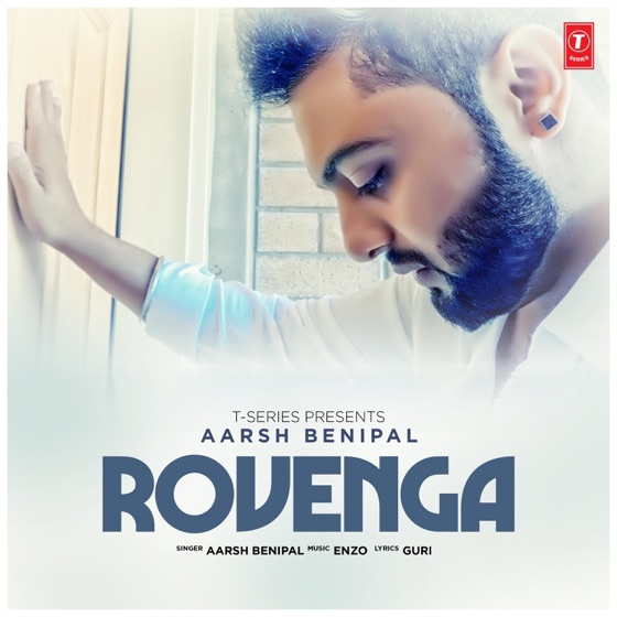 Cover artwork for Rovenga