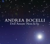 Dell'amore non si sa (Single Version) artwork