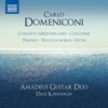 Domeniconi: Concerto mediterraneo & Chaconne, 2018