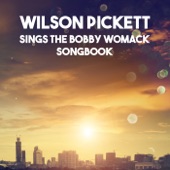 Sings the Bobby Womack Songbook artwork