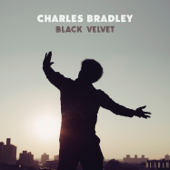 Black Velvet cover