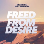 Freed from Desire (feat. Indiiana) artwork