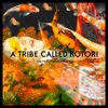 A Tribe Called Kotori - Chapter 2, 2018