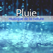 Pluie, musique de la nature - Ariel Connemara