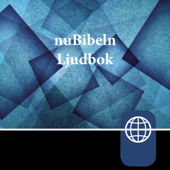 nuBibeln (Swedish Edition) (Unabridged) - Zondervan