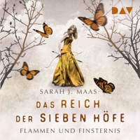 Sarah J. Maas - Flammen und Finsternis: Das Reich der sieben Höfe 2 artwork