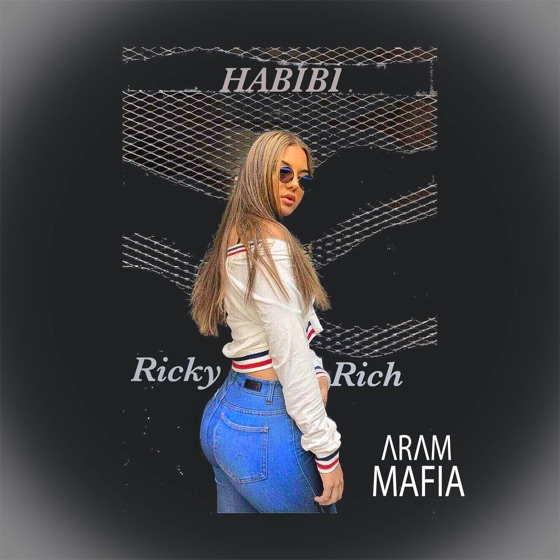 Cover artwork for Habibi