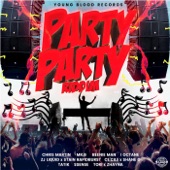 Party Party Riddim artwork