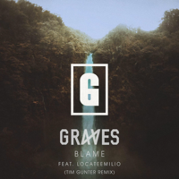 graves - Blame (Tim Gunter Remix) [feat. LocateEmilio] artwork
