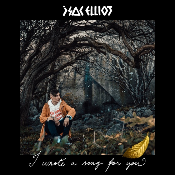 Cover artwork for I Wrote a Song for You