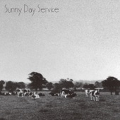 Sunny Day Service - PINK MOON