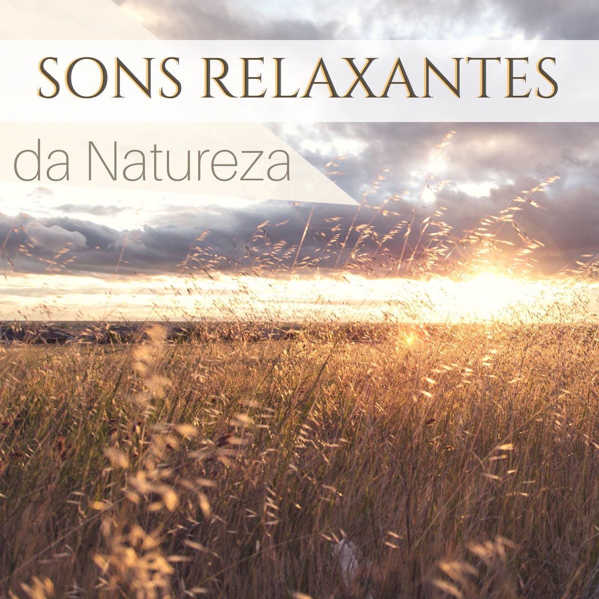 Sons Relaxantes Da Natureza Musica Relaxante Para O Sono Das Criancas De Sons Da Natureza Relax Natureza No Apple Music