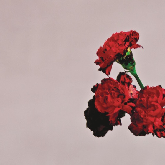 Cover artwork for So Gone