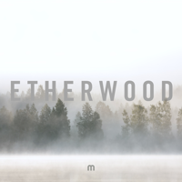 Etherwood - In Stillness artwork