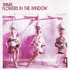 Flowers in the Window - Single