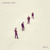 Mumford & Sons - Delta artwork