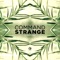 Skyline - Command Strange & Alibi lyrics