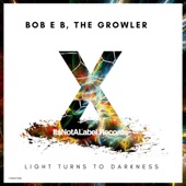 Light Turns to Darkness by The Growler