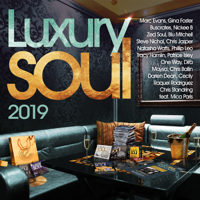 Various Artists - Luxury Soul 2019 artwork