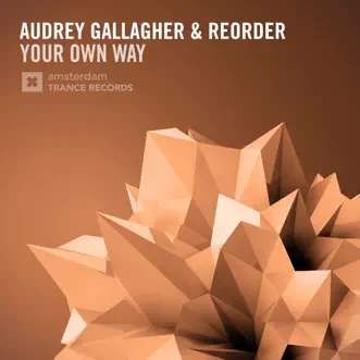 Your Own Way by Audrey Gallagher & ReOrder song reviws