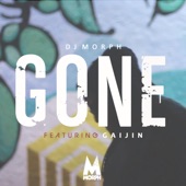 Gone (feat. Gaijin) artwork