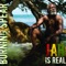 Jah Is Real artwork