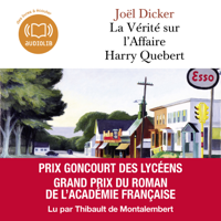 Joël Dicker - La Vérité sur l'affaire Harry Quebert artwork