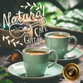 Natural Cafe Guitar ~森の香り広がるのんびりアコースティック~ artwork