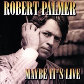 Robert Palmer - Some Guys Have All the Luck