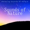 Spa Treatment Music - Nature Sounds Associated Artists lyrics