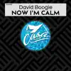 Stream & download Now I'm Calm - Single