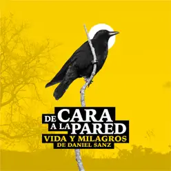 Vida y Milagros de Daniel Sanz - De cara a la pared Vida y Milagros de Daniel Sanz - De cara a la pared